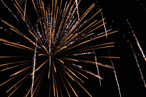  A gold firework explodes in the sky. The fireworks display was in honor of Independence Day.