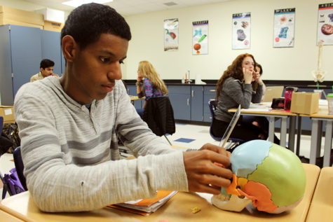  Ian Jones (11) inspects a skull. Jones looked at the nasal bones.  