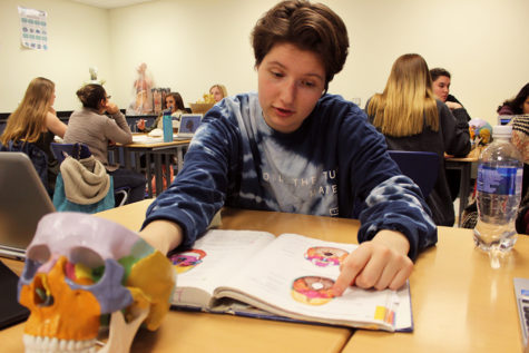 Madelyn Nohos (12) locates the bones inside the skull. Nohos used her book as a reference. 